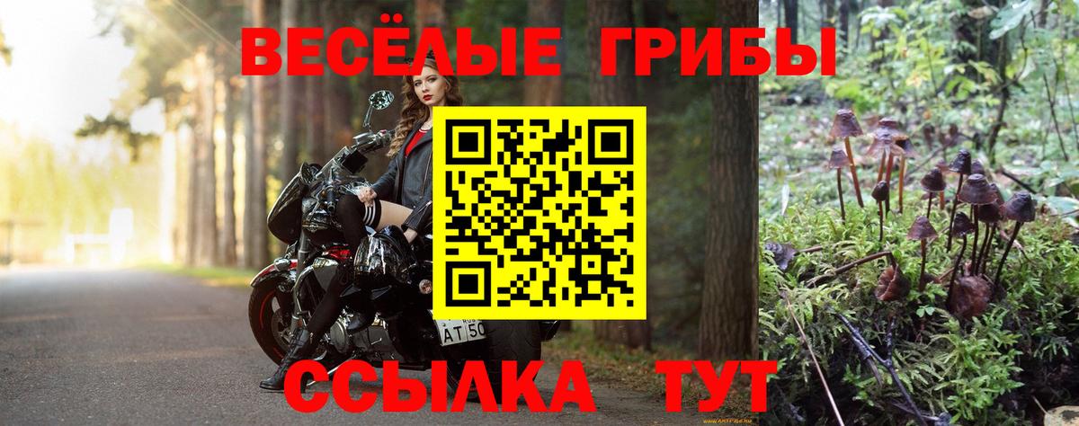 Галлюциногенные грибы MAGIC MUSHROOMS  Вход с VPN  Дзержинский 